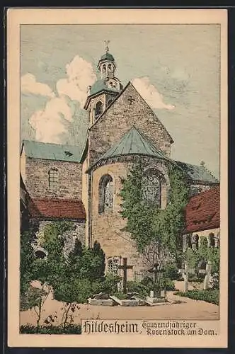 Künstler-AK Hildesheim, Tausendjähriger Rosenstock am Dom