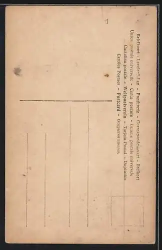 AK Portrait Musiker Eugene Ysaye mit Violine