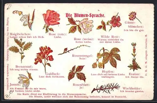 AK Die Blumen-Sprache, Brennessel: Ich mag nichts wissen., Rose (rote): Liebe