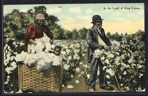 AK In the Land of King Cotton, Mann und Frau pflücken Baumwolle