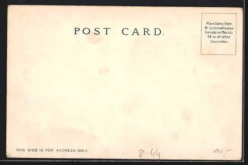 AK So. California, Picking Oranges, Orangenpflücker