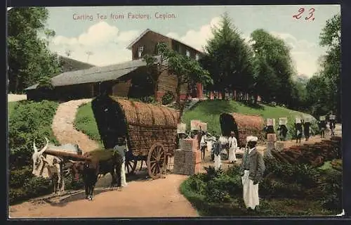 AK Ceylon, Carting Tea from Factory