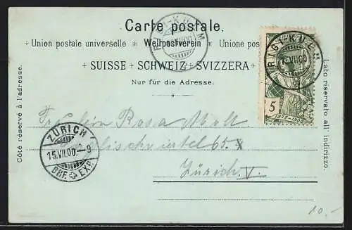 Mondschein-Lithographie Rigi, Das Hotel im Alpenpanorama