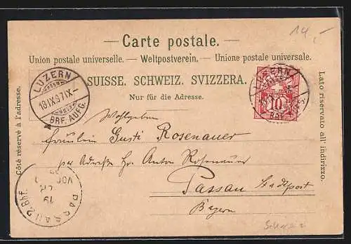 Lithographie Luzern, Wasserturm, Gesamtansicht, Edelweiss