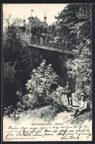 AK Olten, Brücke zum Säli-Schlösschen