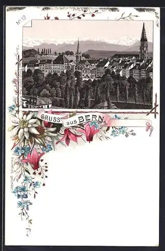 Passepartout-AK Innsbruck, Totalansicht gegen die Alpen