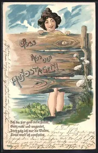 AK Nackte Frau hinter einem löchrigen Zaun