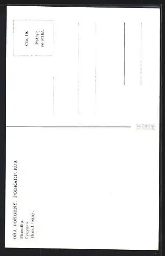 Künstler-AK Ukrainische Frau in Tracht mit Rechen