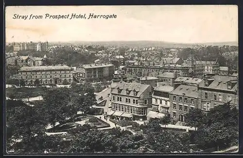 AK Harrogate, Stray from Prospect Hotel
