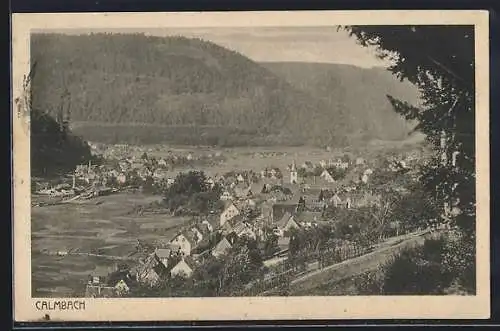 AK Calmbach, Panorama des Ortes