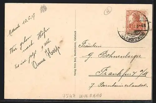 AK Calmbach, Panorama des Ortes