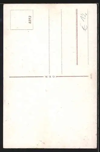 AK Starnberger See, Ansichten der Raddampfer Luitpold, Bavaria, Wittelsbach und Ludwig