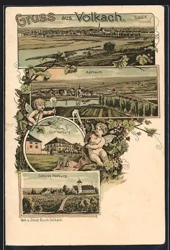 Lithographie Volkach, Totalansicht, Gut Halburg, Astheim und Schloss Halburg