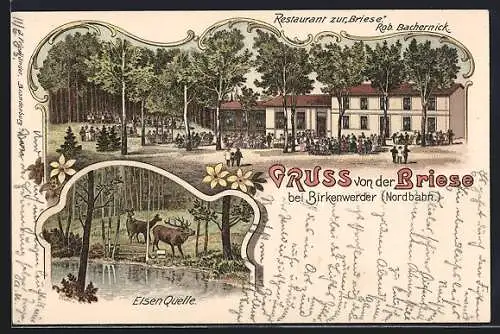 Lithographie Birkenwerder a. Nordbahn, Restaurant zur Briese von Rob. Bachernick