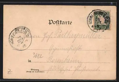 Lithographie Schweinfurt, Rathaus, Kriegerdenkmal, Schloss Mainberg