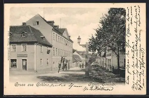 AK Schleiz, Das Fürstliche Seminar