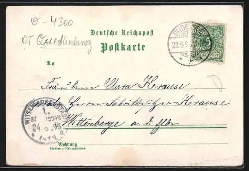 Lithographie Suderode, Felsenkeller, Lauenburg, Kaltes Thal und Stubenberg