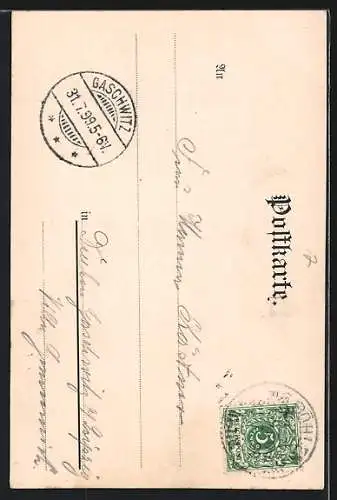 AK Schwarzmühl / Schwarzatal, Das Gasthaus, Totalansicht