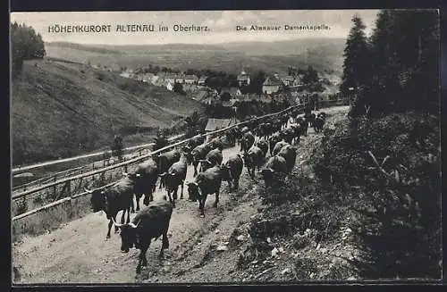 AK Altenau im Oberharz, Kuhherde mit Ortsansicht