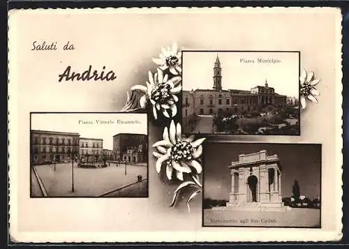 AK Andria, Piazza Vittorio Emanuele, Piazza Municipia, Monumento agli 800 caduti