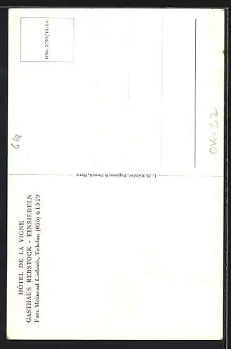 AK Einsiedeln, Hotel de la Vigne, Gasthaus Rebstock