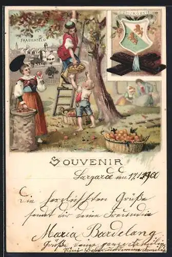Lithographie Frauenfeld, Kakao Suchard, Familie beim Äpfelpflücken