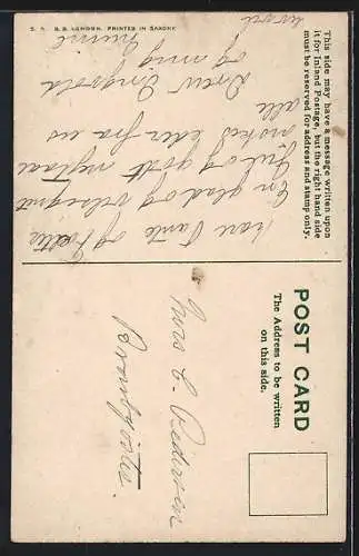 AK Rotkehlchen über Stechpalmenzweig, Weihnachtsgruss