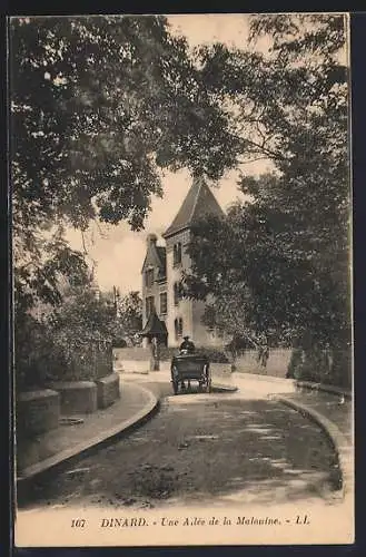 AK Dinard, Une Allée de la Malouine