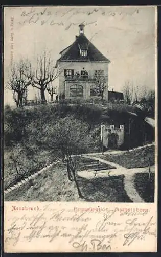 AK Hersbruck, Restauration Michelsberg