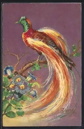 Künstler-AK Carlo Chiostri: Paradiesvogel mit Blumen
