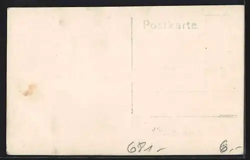 AK Mannheim, Festzug Pfalzer Sonntag 28.05.1922, viele Menschen, Mann mit Boxhandschuhen