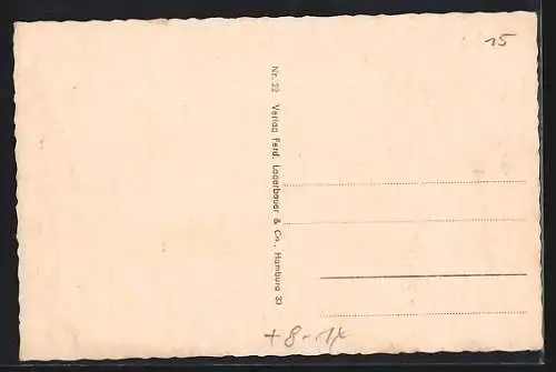 AK Helmstedt Zonengrenze, Motive mit Omnibus und Autos