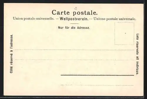 AK Neuchatel, Teilansicht mit Wasser- u. Gebirgsblick aus der Vogelschau