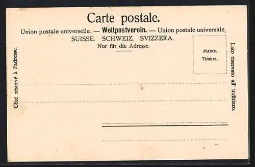 AK Genève, Quai des Eaux-Vives et le Mont-Blanc