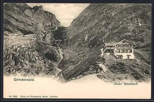 AK Grindelwald, Chalet Milchbach mit Umgebung