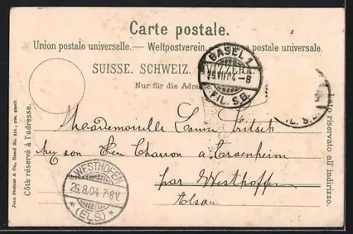 AK Basel, Brückenpartie mit Stadtpanorama