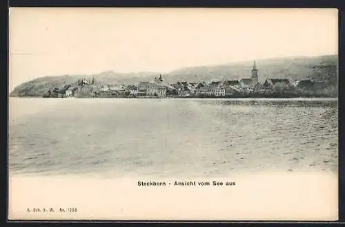 AK Steckborn, Ortspanorama vom See aus