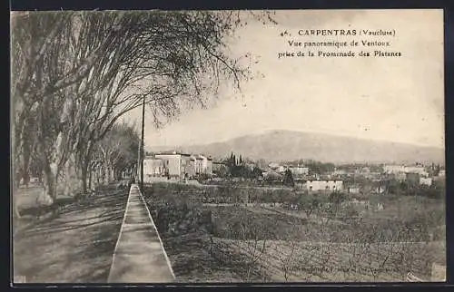 AK Carpentras, Vue panoramique de Ventoux prise de la Promenade des Platanes