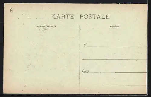 AK Carpentras, Vue panoramique de Ventoux prise de la Promenade des Platanes