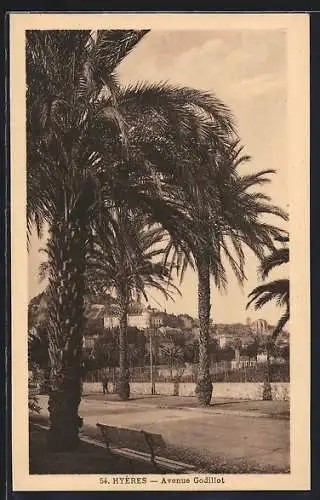 AK Hyères, Avenue Godillot avec palmiers majestueux