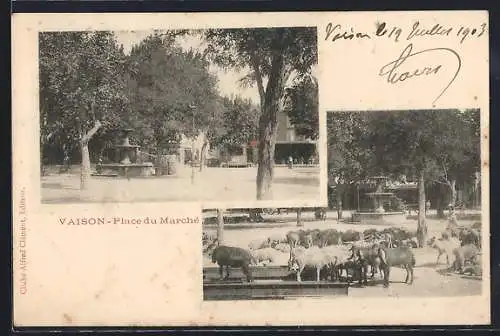 AK Vaison, Place du Marché avec troupeau de moutons et fontaine