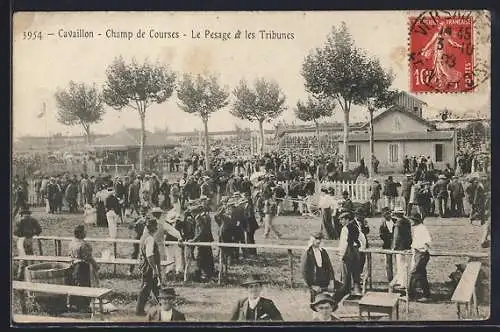 AK Cavaillon, Champ de Courses, Le Pesage et les Tribunes