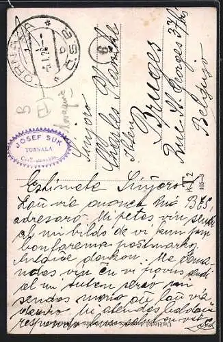 AK Tschechisches Paar in Tracht im Winter