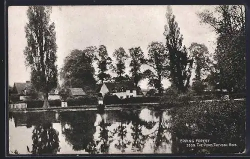 AK Theydon Bois, The Pond, Epping Forest