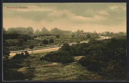 AK Shenfield, Common