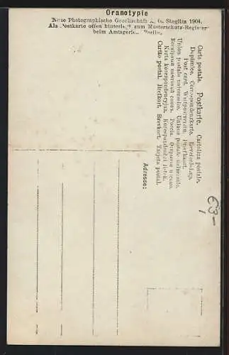 AK Berlin-Tiergarten, Siegessäule