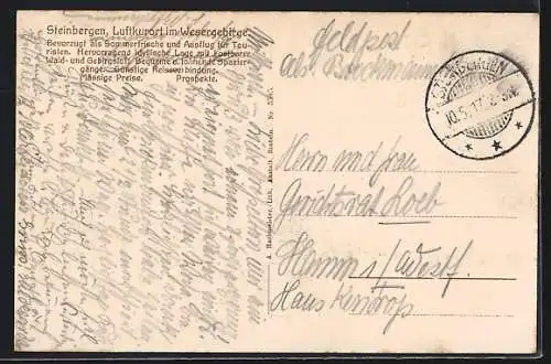 AK Steinbergen, Wolbrecht`s Hotel und Pension, Bes. A. Bethmann