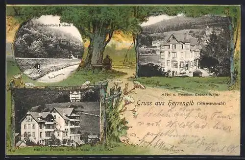 AK Herrenalb /Schwarzwald, Hotel und Pension Grüner Wald, Falkenstein Felsen