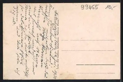 AK Sattelpeilnstein, Mariensäule, Kirchenstrasse und Schloss der Firma Schauer