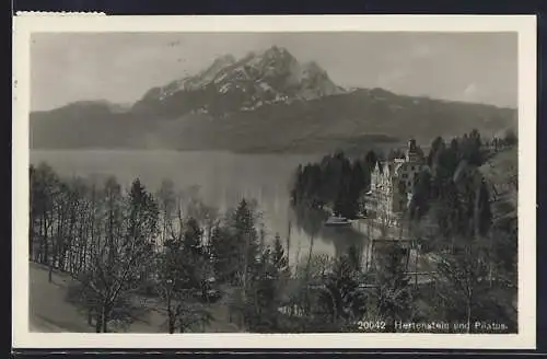 AK Hertenstein, Panorama mit Blick zum Pilatus